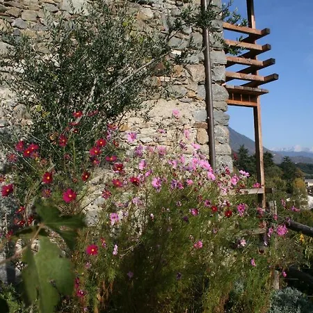 Una Casa Tra Gli Alberi Bed & Breakfast *