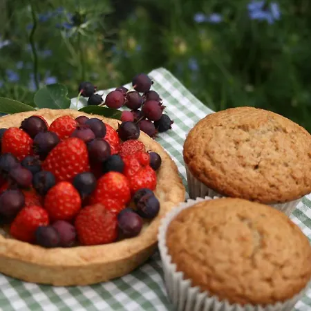 Bed & Breakfast Una Casa Tra Gli Alberi Tresivio