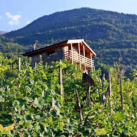 Bed & Breakfast Una Casa Tra Gli Alberi Tresivio